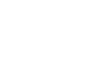 REPSE